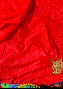 Beautiful Saree For New Bride