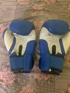 ISI Boxing Gloves - Blue