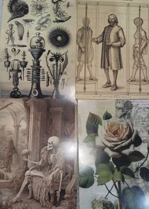Aesthetic Poster Stickers