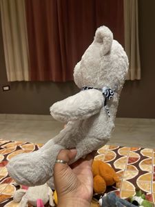 Cute Grey Teddy Bear with Bandana