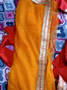 Classy Lhnga Choli