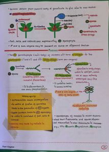 Botany Med Easy by Vipin Sharma PW
