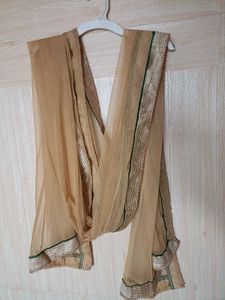 Golden Tan Net Duppta  With Less Border