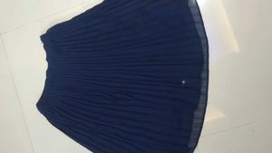 Knee Length Pleated Skirt