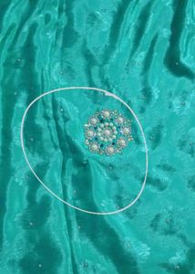 Sea Green Embellished Saree