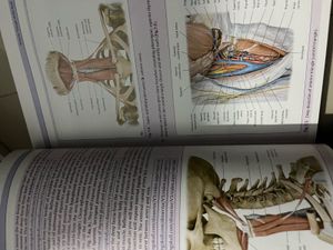 Thieme Dissector Set