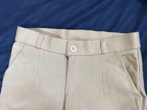 Beige Formal Pants