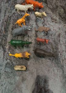 Animal Toys