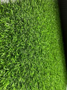 Artificial Grass