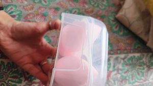 Makeup Sponge