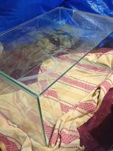 Used Glass Fish Tank