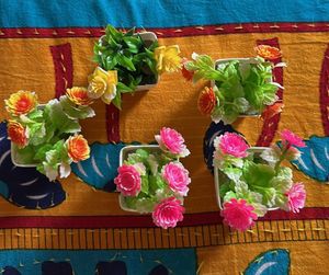 5 Plants