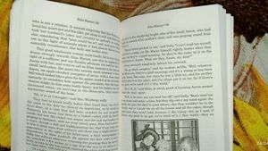 Novel