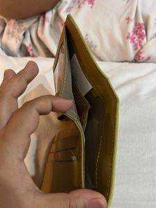 Original Baggit Wallet