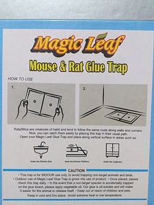 Mouse &amp; Rat Glue Trap