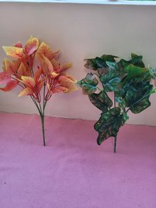 Leaf Bunches