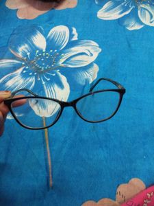 Stylish Eyeglasses