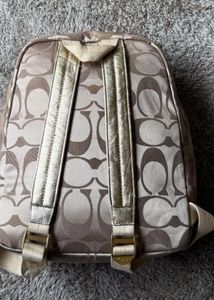 The Rare Vintage Coach Bag For Sale