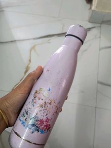 Stainless Steel Water Bottle