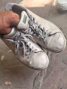 Used Adidas Advantage Sneakers