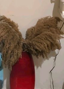 Red Vase with Pampas Grass