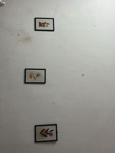 Wall Photo Frames