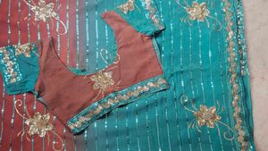 Elegant Embellished Saree