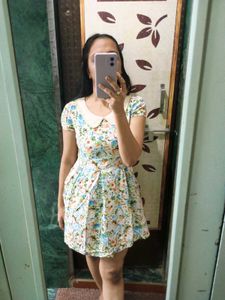 Floral Fit &amp; Flare Peter Pan Collar Dress