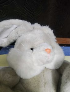 Bunny Soft Toy