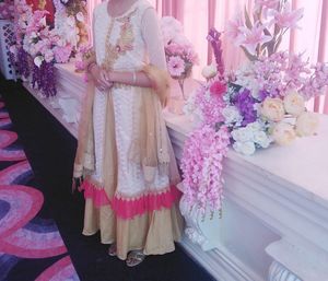 Elegant Ethnic Gown