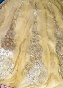 Stitched Lehanga Choli Mam ♥️💗
