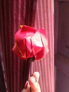 Paper Rose 🌹