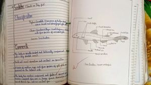 Biology Practical File Class 11 Cbse Board Chgs School
