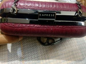 Caprese Clutches Bag