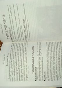Novel