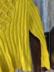 Two Woolen Top At 250