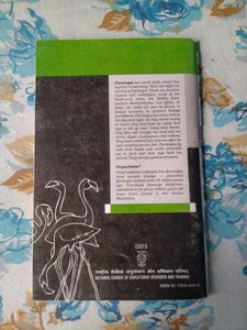 NCERT English Core Flamingo And Vistas Textbooks | Class 12