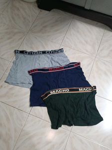 Branded Trunks