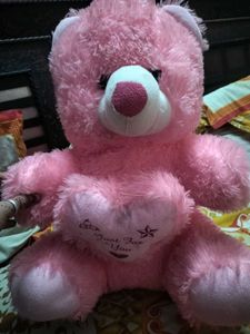 Pink Teddy Bear