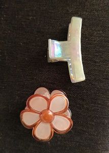Hair Clip Set