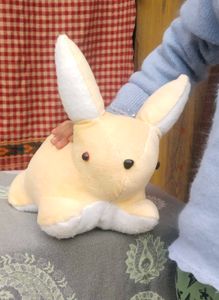 Cute Plush Bunny Soft 🐇