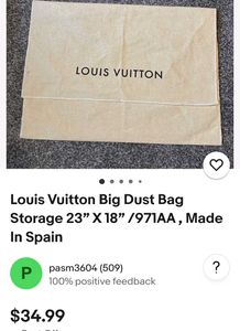 Louis Vuitton Pouch