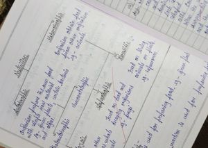 Class 10th Biology Notes📖