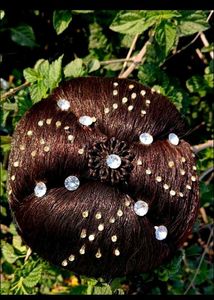 Brown Hair Bun Accessory