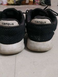 campus shoes