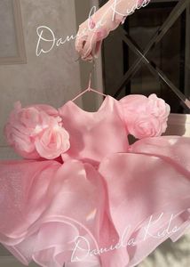 Organza Fabric