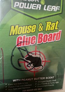 Mouse & Rat Glue Board
