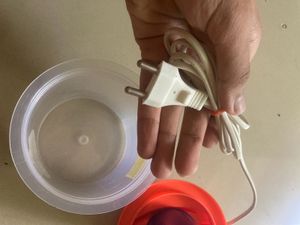 Facial Steamer