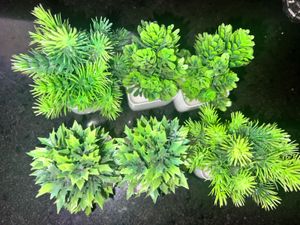 Miniature Artificial Plants (Set of 3)