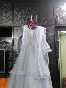 Elegant Ethnic Gown